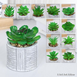 Цветочная композиция Кактус / WER-22 /уп 12/192/ микс - Галеонтрейд фото 26