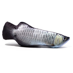 Игрушка Рыба моей мечты! с кошачьей мятой, арапайма, 20 см - Пижон фото 2