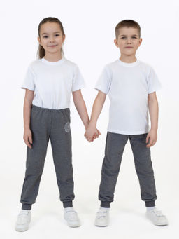 Брюки детские антрацит колледж 446п (110, 60)