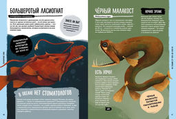 Мир вокруг тебя. Тайны мирового океана. Фланнери Т. - Махаон фото 6