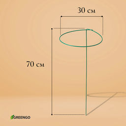 Цена за 5 шт. Кустодержатель для цветов, d=30 см, h=70 см, ножка d=0.3 см, металл, зелёный, Greengo