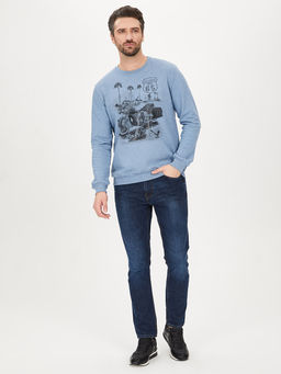 Свитшот мужской GREG G121-California (гол.джин.м)  фото 4