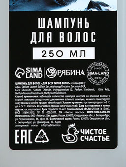 Подарочный набор «Самый крутой», шампунь для волос 250 мл, гель для душа 250 мл и мужские носки, Чистое счастье