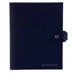 Дневник школьный для 1-11 классов Favorite, мягкая обложка, на кнопке, искусственная кожа, тиснение фольгой, хлястик, ляссе, 48 листов