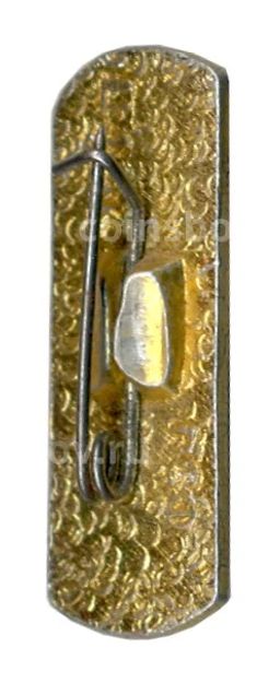 Значок Теберда