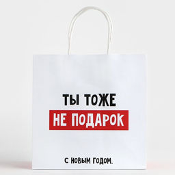 Пакет подарочный новогодний «Ты тоже не подарок», 22×22×11 см