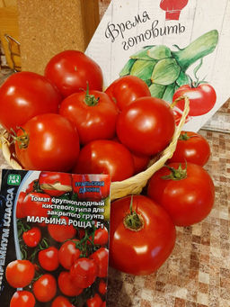 Томат МАРЬИНА РОЩА F1 Уникальный! В вашей теплице будет целая роща томатов, которой можно восхищаться бесконечно! - Уральский дачник фото 4