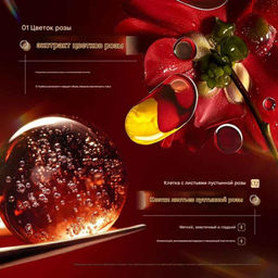 FAYANKOU Эссенция-масло для лица с экстрактом лепестков розы 30мл