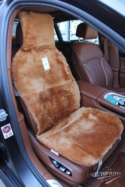 Короткий ворс (Австралия)