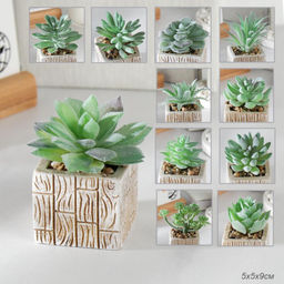 Цветочная композиция Кактус / WER-15 /уп 12/288/ микс - Галеонтрейд фото 26