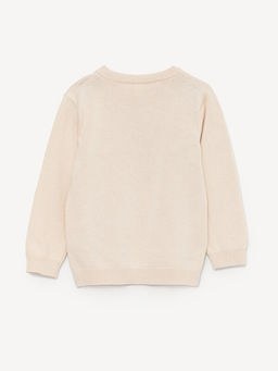 Bisiklet Yaka Uzun Kollu Erkek Bebek Triko Kazak - Waikiki фото 3