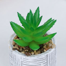 Цветочная композиция Кактус / WER-22 /уп 12/192/ микс - Галеонтрейд фото 15