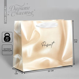 Цена за 2 шт. Пакет подарочный, упаковка, «Present», 22×17.5×8 см