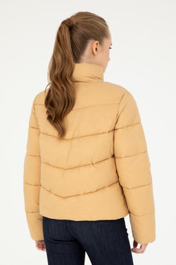 Kad_n Camel Mont