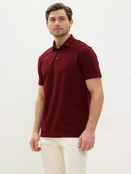 Джемпер мужской с воротником поло короткий рукав GREG G144-PO1246T-SA2081 (бордо)  фото 7