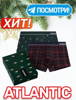 ATLANTIC 2GMH-031 Трусы шорты Check - набор 2 шт. темно-зеленый + темно-синий