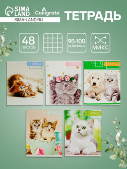 Тетрадь 48 листов в клетку Calligrata Котята, обложка мелованный картон, блок офсет, МИКС фото 3