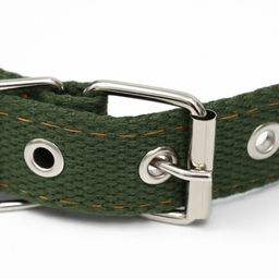 Ошейник брезентовый с подкладом, 58 х 2,5 см, хаки - Пижон фото 3