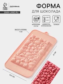 Форма для шоколада Доляна «Малина», 21×10×1 см, силикон, бежевая Цена за 2 шт.
