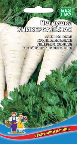 Петрушка УНИВЕРСАЛЬНАЯ  Незаменимая пряность в любом саду! Летом- зелень, осенью - корнеплоды! - Уральский дачник фото 2