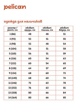 PELICAN, футболка для мальчиков, Яблочный фото 3