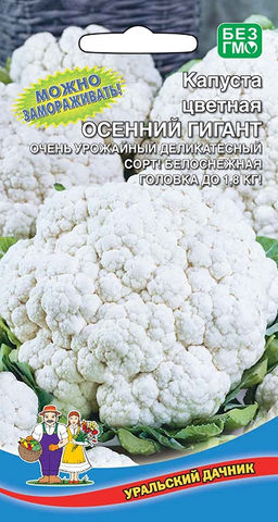 Капуста цветная ОСЕННИЙ ГИГАНТ Очень урожайный деликатесный сорт! Белоснежная головка до 1,8 кг! Можно замораживать!