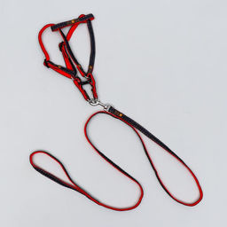 Комплект Джинс, поводок 120 х 1 см, ОГ 25-40 см, красный - Пижон фото 4