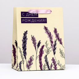Пакет ламинированный вертикальный Лаванда, 18 х 23 х 10 см