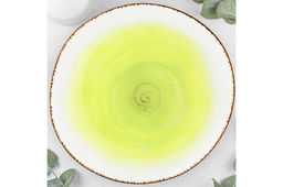 Тарелка обеденная Elan Gallery Кантри фарфор зеленая 26.5×26.5×2.5 см  фото 12