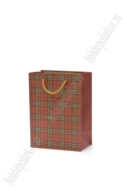 Пакет крафтовый с рисунком "Клетка" 12*16*7 см (12 шт) SF-7169, №1