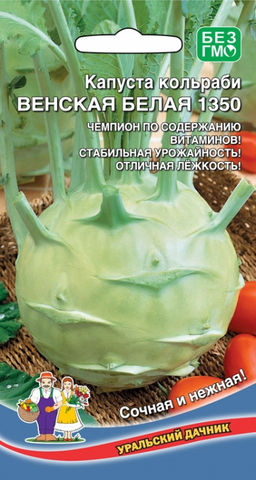 Капуста кольраби ВЕНСКАЯ БЕЛАЯ 1350  Чемпион по содержанию витаминов! Сочная, нежная, сладкая, без горчинки! Вкусна и свежая и маринованная!
