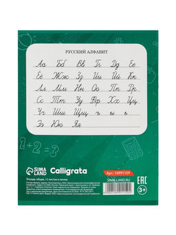 Цена за 250 шт. Тетрадь 12 листов в линейку Calligrata KIDS, блок офсет, 5 В МИКС