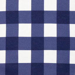 Фартук Доляна Best man, синий, в клетку, 70?60 см, хлопок 100%, рогожка 160 г/м?