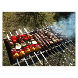 Мангал, 6 шампуров, 50х30х50 см, толщина 0.8 мм, в коробке - Simaland фото 4