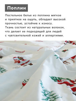Постельное бельё 2-спальное «Этель. Новогодний лес», поплин