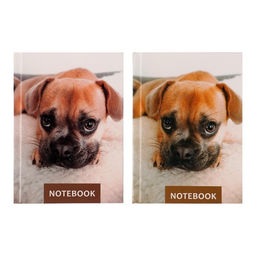 Блокнот А6, 64 листа в клетку Лучший друг, твёрдая обложка, блок офсет - Calligrata фото 4