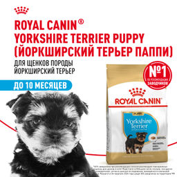 RC Для щенков Йоркширского терьера: до 10мес. (Yorkshire Puppy 29) 39720150R3