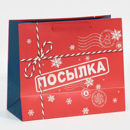 Пакет подарочный новогодний ламинированный «Посылка для тебя», MS 18 х 23 х 10 см