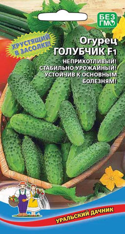 Огурец ГОЛУБЧИК F1 Огурчик голубчик, ну прям всё при нём вкус, цвет, обильный урожай!