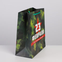 Цена за 2 шт. Пакет подарочный ламинированный, упаковка, С 23 февраля, ML 23?27?11.5 см