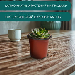 Цена за 40 шт. Горшок для рассады, 350 мл, d=9.5 см, h=8 см, мягкий пластик, терракот, Greengo  фото 6