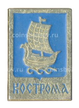 Значок Кострома