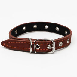 Ошейник кожаный на синтепоне, безразмерный, 45 х 2 см, ОШ 18-39 см, коричневый - Пижон фото 2