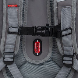 RAf-493-2 Рюкзак школьный - Grizzly фото 48