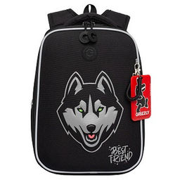 RAw-595-10 Рюкзак школьный