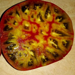 7004T Томат Алмаатинский триколор 10шт