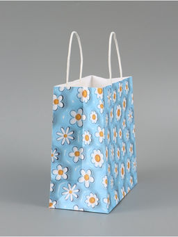 Цена за 2 шт. Пакет подарочный «Ромашки», 22 × 22 × 11 см