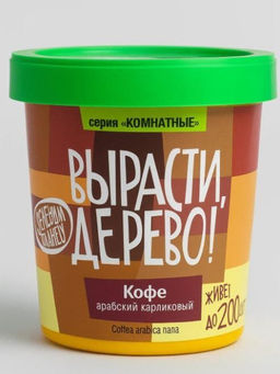 Набор для выращивания "Кофе арабский"