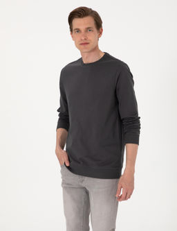 Antrasit 2 _plik Regular Fit Bisiklet Yaka Basic Sweatshirt - Pierre cardin фото 3