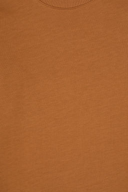 Erkek _ocuk Camel Basic Bisiklet Yaka Sweatshirt Sepette S_rpriz _ndirim - U.s. polo assn фото 5